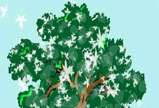 Vastu Tips : दुनिया के 10 दुर्लभ पेड़ और पौधे, जानिए कौन सा लगाएं घर में