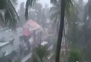 दिल्ली में तूफान से तबाही, कई पेड़ और बिजली के खंभे उखड़े, 2 लोगों की मौत