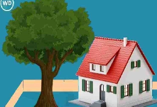Vastu Tips : घर बनाने जा रहे हैं तो जानें कि कितना बड़ा या किस आकार का होना चाहिए