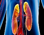 World Kidney Day 2024: आज विश्व किडनी दिवस, जानें इस रोग की पहचान के 7 प्रमुख लक्षण