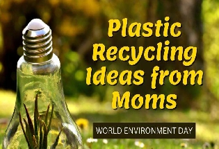 चलो प्रदूषण को मिटाएं, इस Environment Day पर मां की ये smart tips अपनाएं
