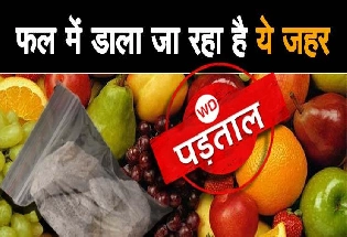 50 रुपए की ये पुड़िया फलों को बना रही जहर, प्रतिबंध के बावजूद बाजार में मिल रहा कैल्शियम कार्बाइड