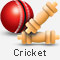 Cricket