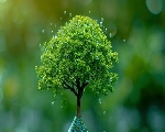 वृक्ष लगाओ रे सब मिलकर...विश्व पर्यावरण दिवस पर विशेष कविता