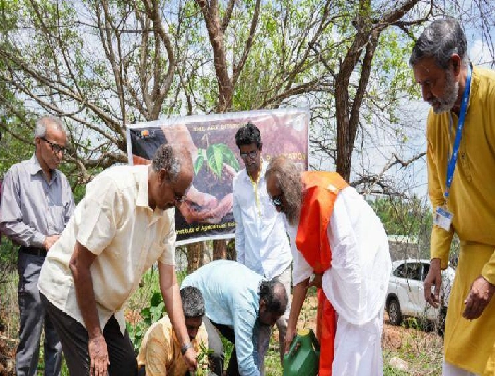 आर्ट ऑफ लिविंग पूरे भारत में एक करोड़ पौधे लगाएगा; हजारों भारतीय किसान भी इसमें भाग लेंगे