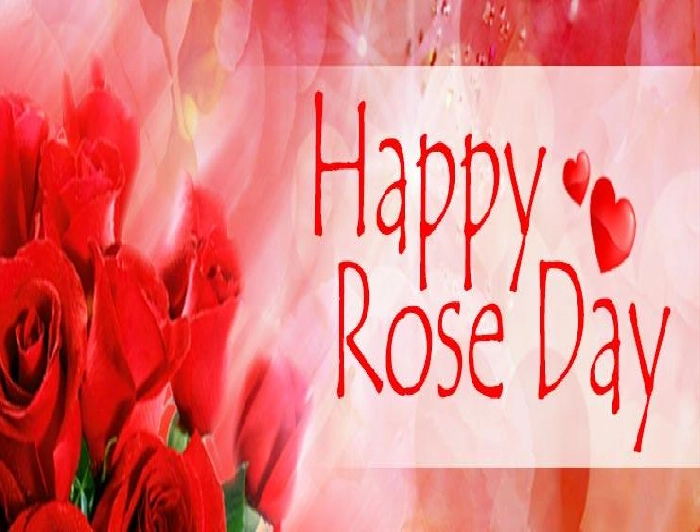 Rose day Special: ‘गुलाब का हर रंग’ आपकी बात अपने प्रिय तक पहुंचाएगा