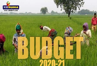 Budget 2020: कृषि राज्यमंत्री ने बजट को किसान हितैषी बताया