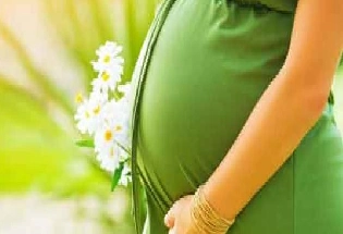 गर्भावस्था की पहली तिमाही में न खाएं ये चीजें वरना शिशु को होगा नुकसान