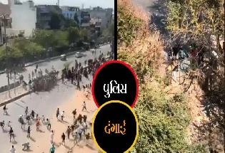 Delhi violence : पुलिस पर हमले का वीडियो वायरल, शुरू हुई सियासत