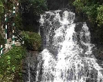 Top 5 Waterfall : गर्मी में घूमने के लिए भारत के इन 5 खास वाटरफॉल के पास जा सकते हो