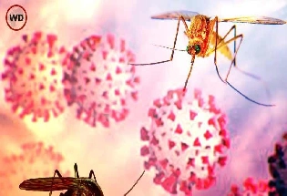 डेंगू संक्रमण के मामलों में उछाल, सार्वजनिक स्वास्थ्य के लिए बड़ी चिन्ता