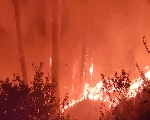 उत्तराखंड में बेकाबू हुई जंगल की आग, नैनीताल में हाईकोर्ट कॉलोनी तक पहुंचीं लपटें