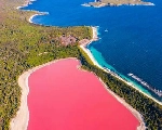 प्रकृति का अद्भुत नमूना 'गुलाबी झील'