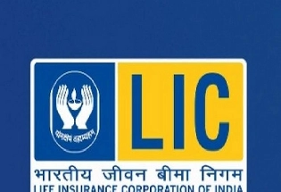 अडाणी के शेयरों में निवेश, LIC को कितना फायदा हुआ?