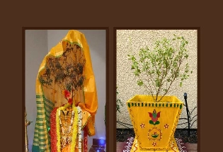 Tulsi Vivah Decoration Ideas: घर पर इन 3 तरीकों से सजाएं तुलसी
