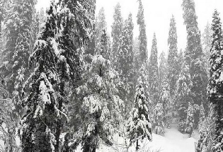 Kashmir weather : कश्मीर के बर्फबारी और बारिश, IMD ने किया अलर्ट