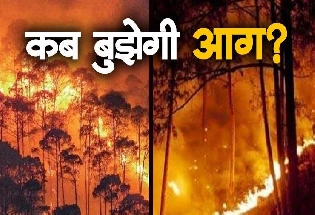 क्यों नहीं बुझ रही उत्तराखंड की आग, 1 हजार हैक्टेयर जंगल खाक, 5 की मौत