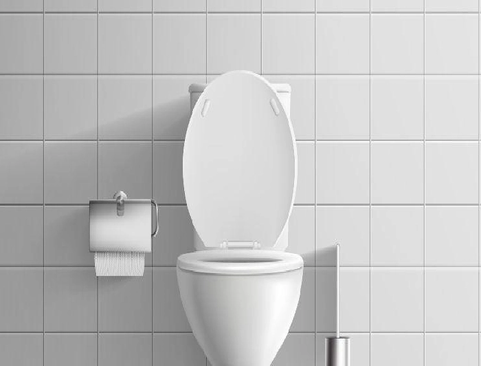 महिलाओं को पब्लिक टॉयलेट का इस्तेमाल करते वक्त नहीं करना चाहिए ये 10 गलतियां