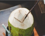 सेहत के लिए बहुत फायदेमंद है नारियल की मलाई, ऐसे करें डाइट में शामिल